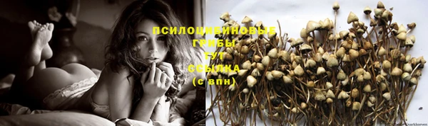 МДПВ Белокуриха