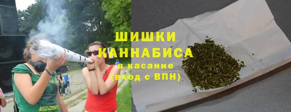 бошки Снежногорск
