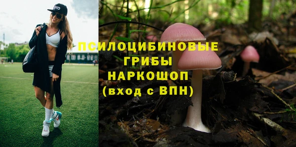 МДПВ Белокуриха